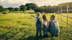 3 Critical Things To Prepare Before Applying For A Rural Lifestyle