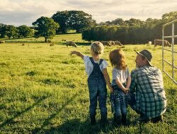 3 Critical Things To Prepare Before Applying For A Rural Lifestyle